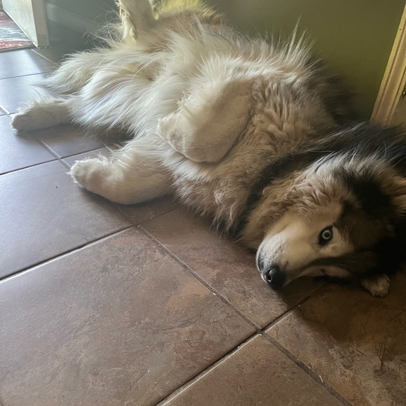 Meet your Posher, Brooke - Picture 2 of 11